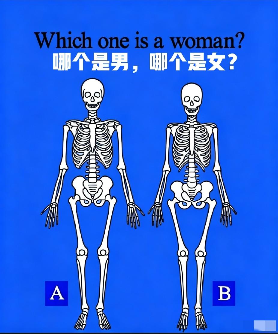 不是我吹！问了快100个人了，90%的人都答错了！你能看出哪个是男，哪个是女吗？
