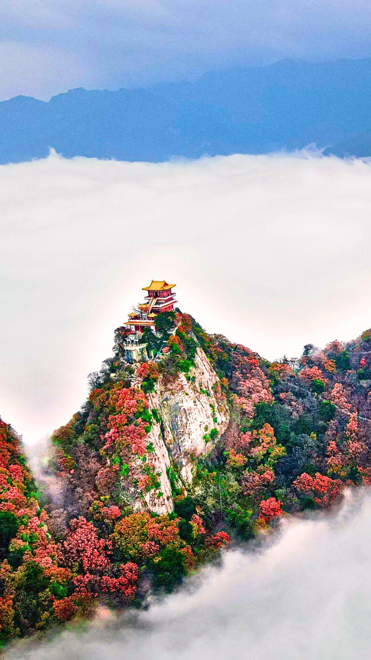 西安周边1h直达❗南五台的秋天竟然这么美。谁说看红叶一定要去外地？秦岭...