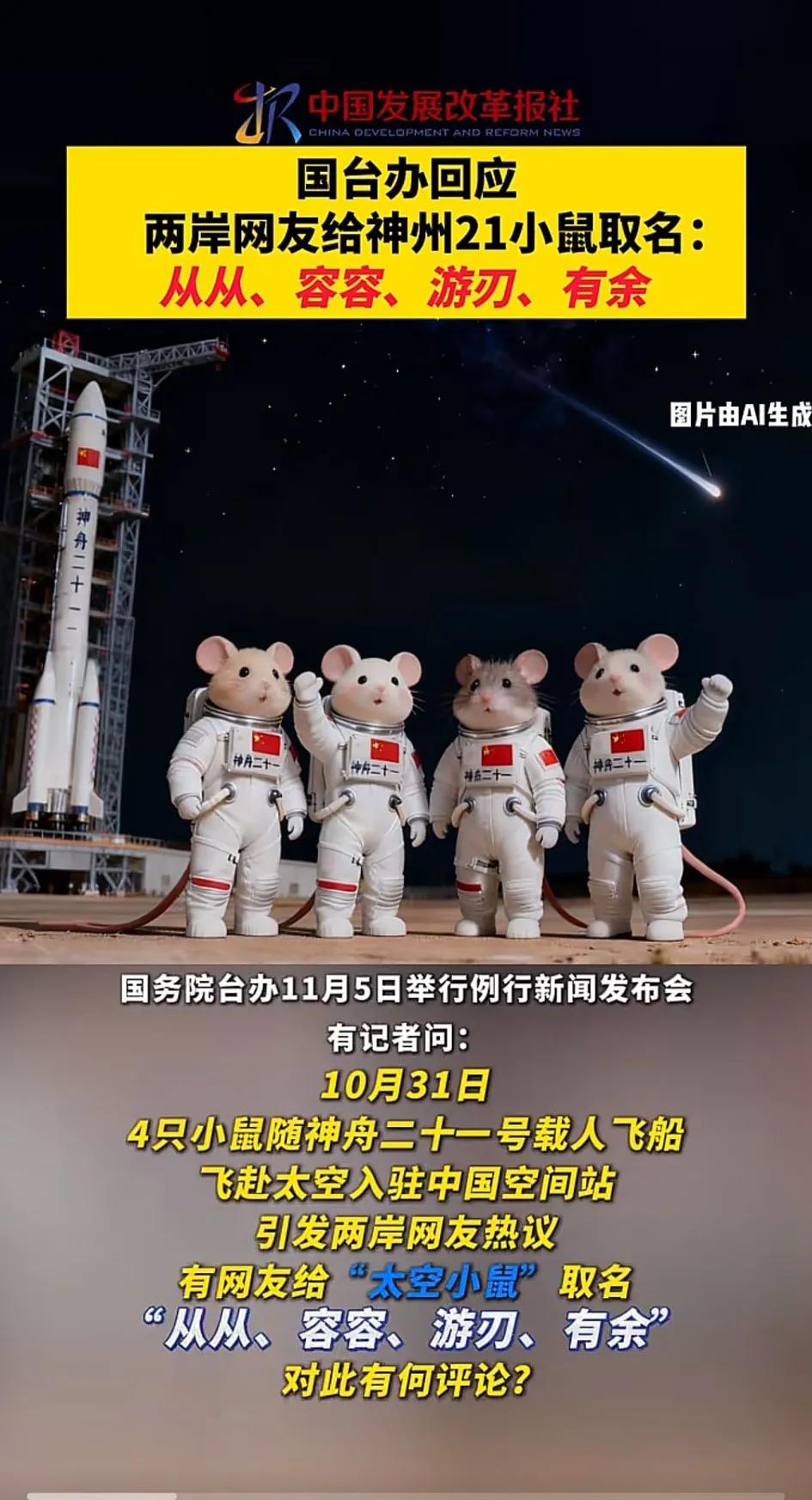 这四个名字太有意思啦！我举双手双脚赞成！[大笑]从从容容游刃有余，谐音梗玩得比太