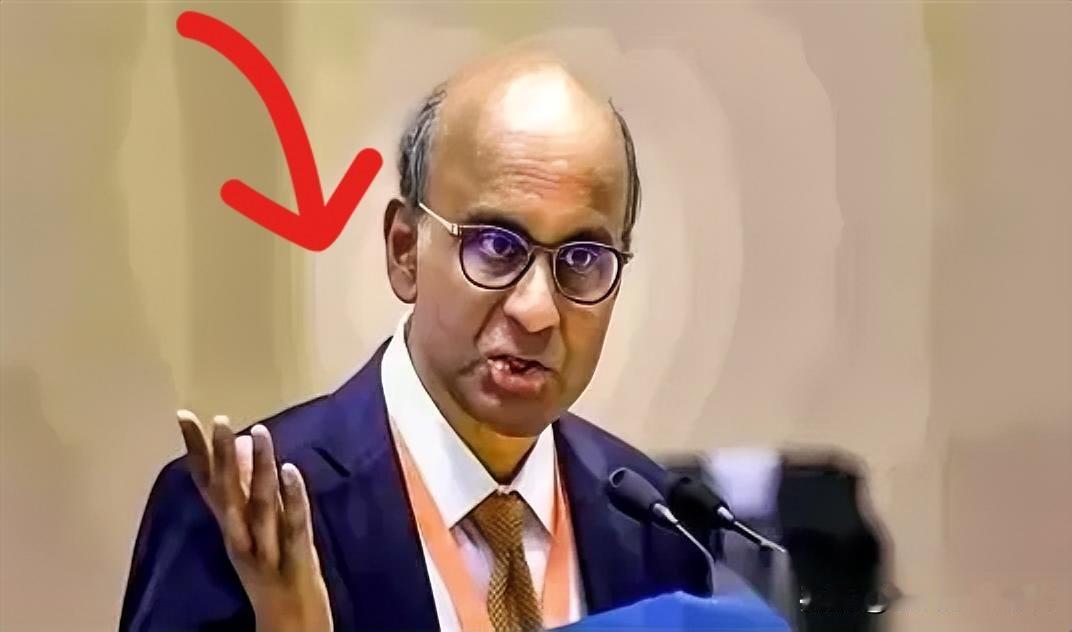 今天刷到一篇文章看了都笑死人啦
 新加坡总统在教我们做事。
新加坡总统在华盛顿劝