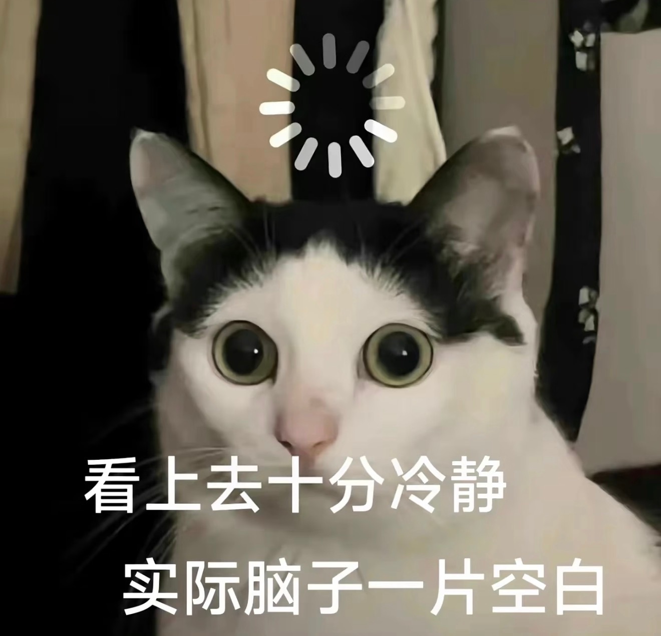 刘欢去世我滴妈呀…… ​​​