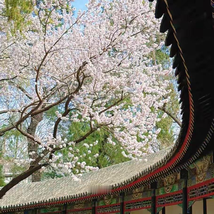 变现真正的核心，永远是你自己：靠产品引流，用户会跟着优惠、竞品随时离场；靠个人魅