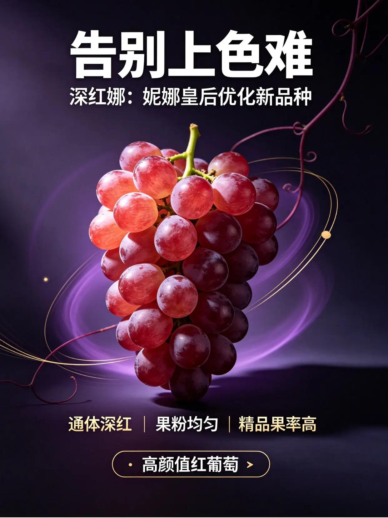 妮娜皇后优化品种深红娜！。妮娜皇后 优化品种 深红娜