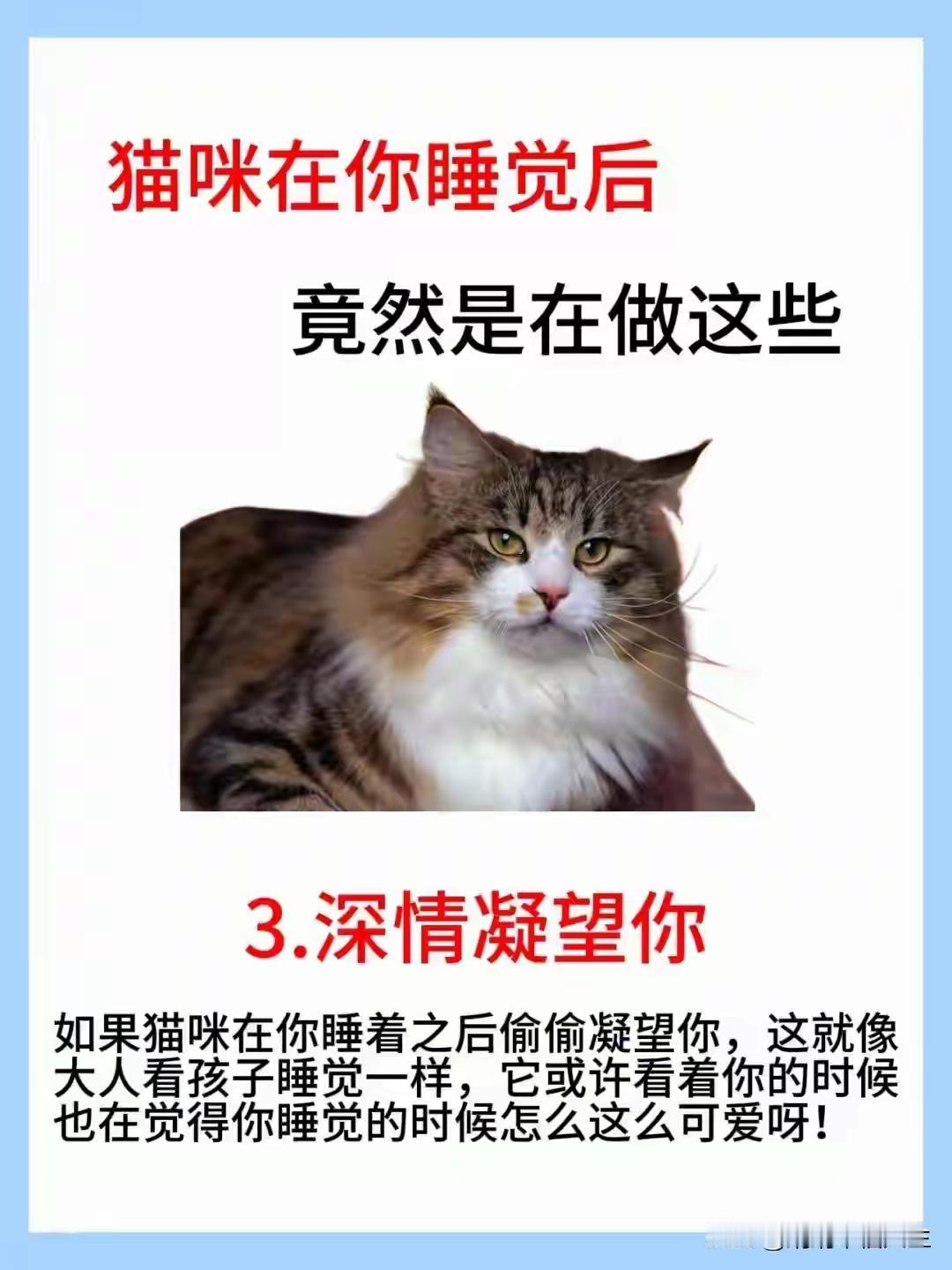 铲屎官集合啦！总有人吐槽“猫是白眼狼，给吃的才理你”，甚至说它们高冷没感情。你呼