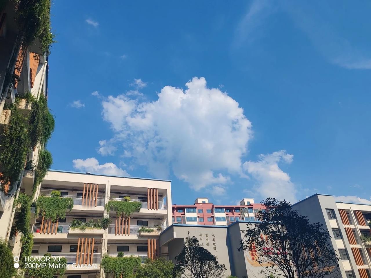 教育的根基是激发人的潜能与培养健全的人格，核心在于帮助个体实现自我认知、掌握生存