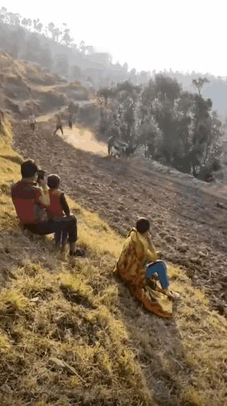 牛牛是疯了还是怎么了，这速度简直是神速。