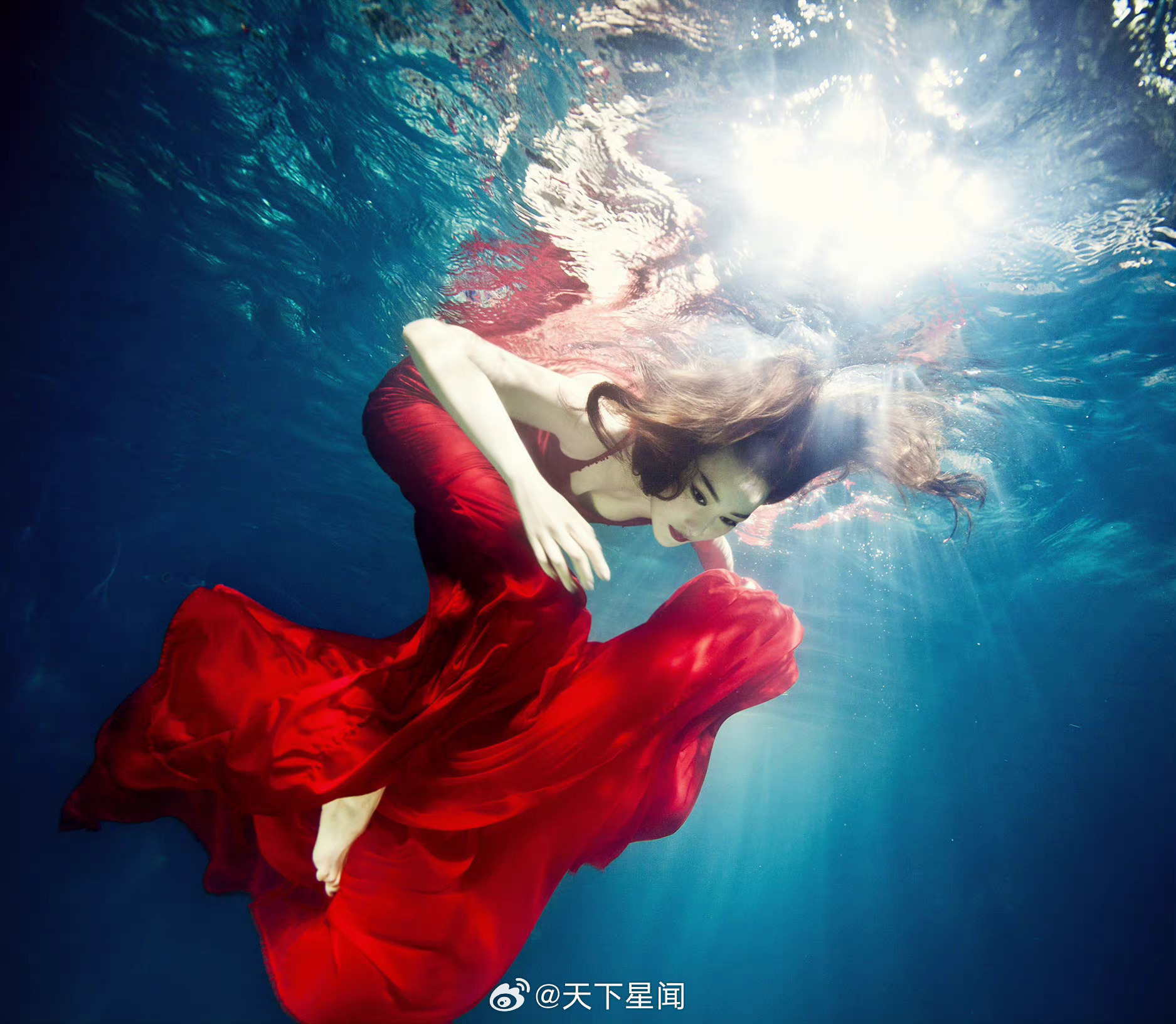 张馨予 ​​​