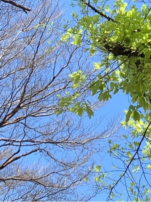 《凉州词》唐·王之涣黄河远上白云间，一片孤城万仞山。羌笛何须怨杨柳，春风不度玉门