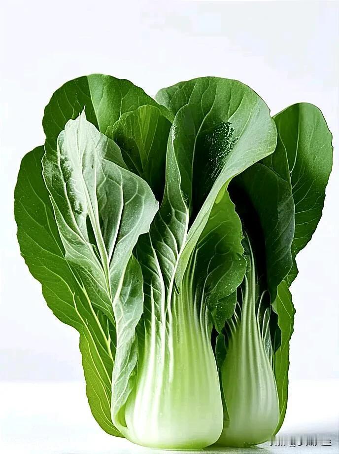 #记录我的8月生活#