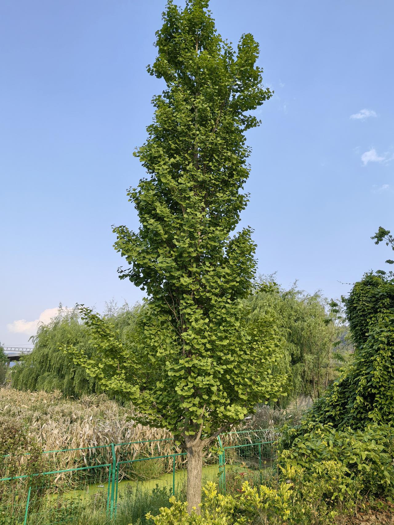 五月5不要
1.不要在旅途中与人交流，更不要互相加联系方式。
2.不要去联系，慢