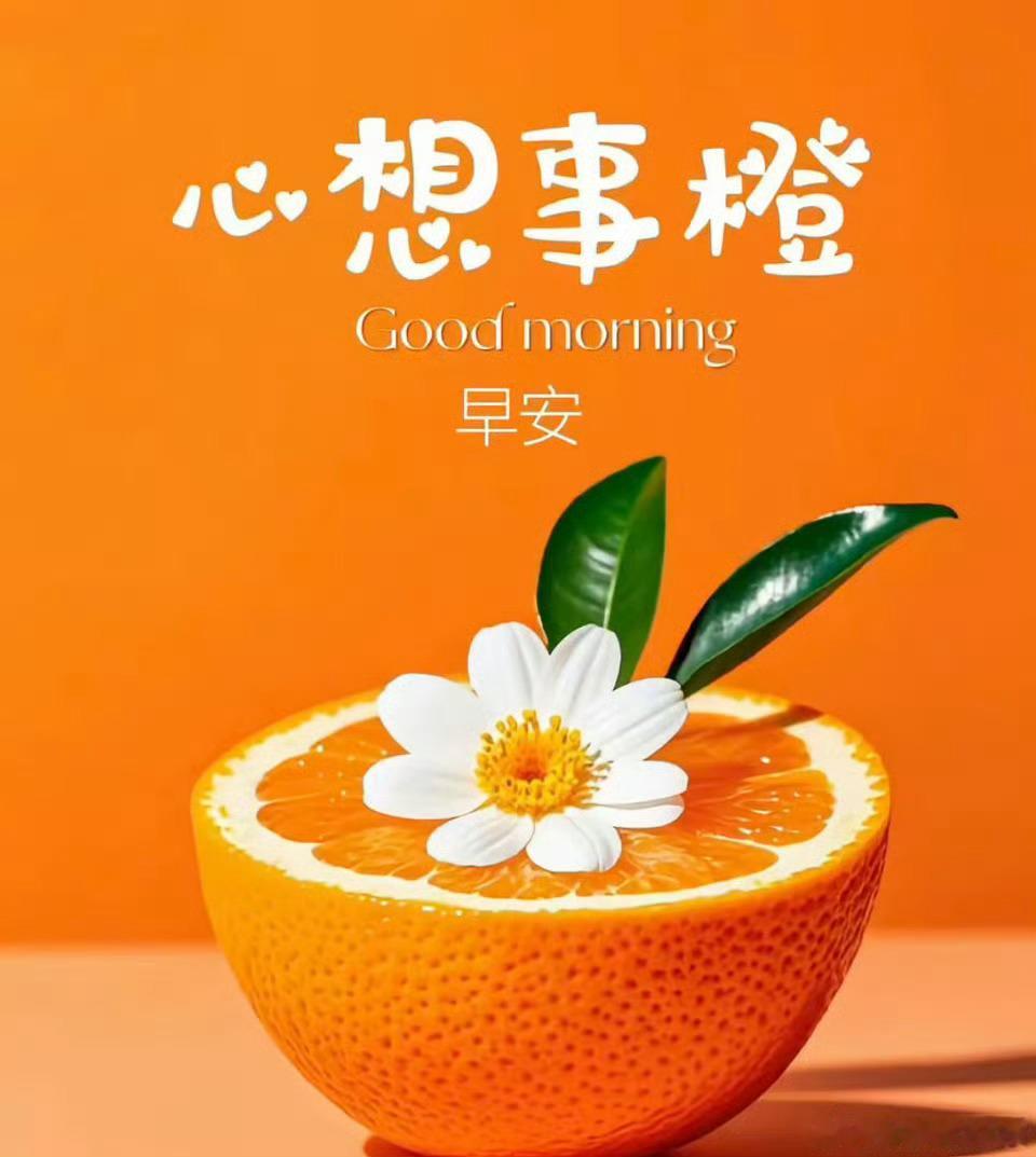 今天周三，大家早上好！全体集合了～～～起床的赶紧动起来，免费点赞+评论666安排