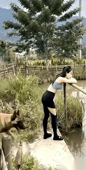 岸边，那根逗狗的树枝，在她手里一晃一晃。
水面就在马犬的鼻子尖前面，就差那么一丁