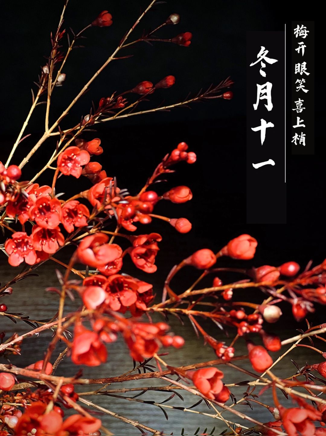 眉开 眼笑 喜上梢