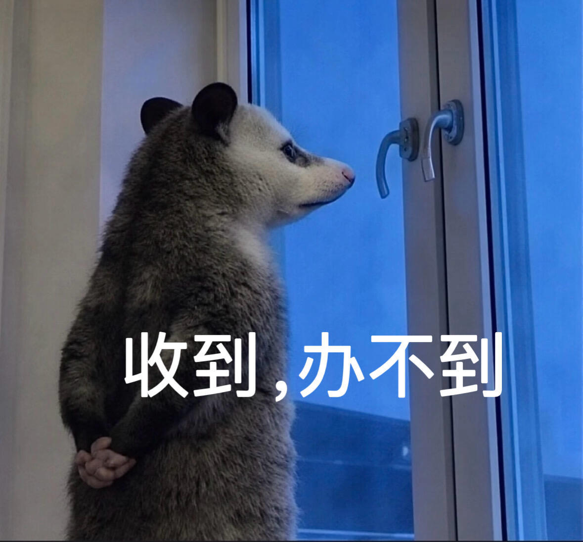 路过的咚咚铁一直在掉 