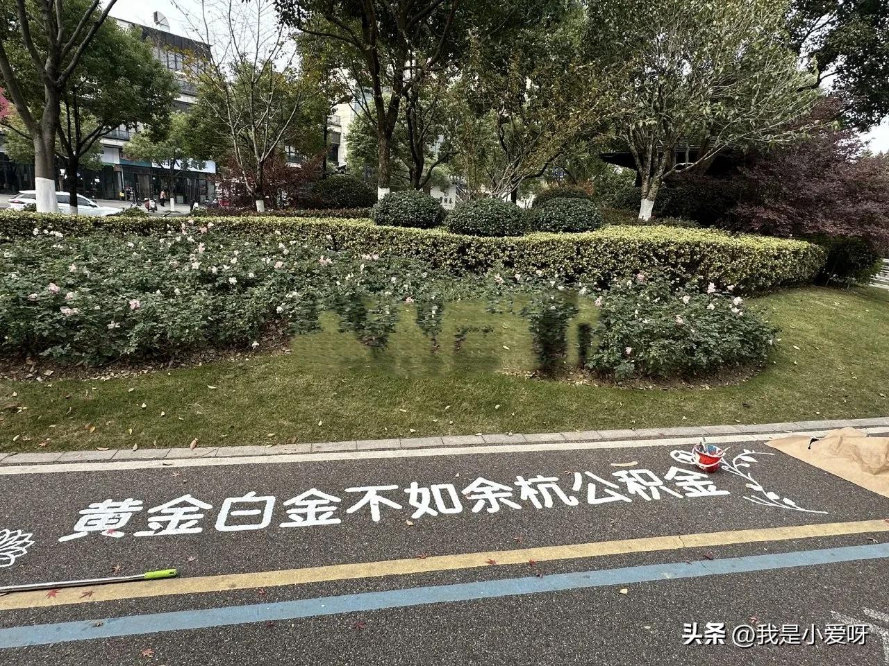 杭州都在宣传公积金了？[震惊]