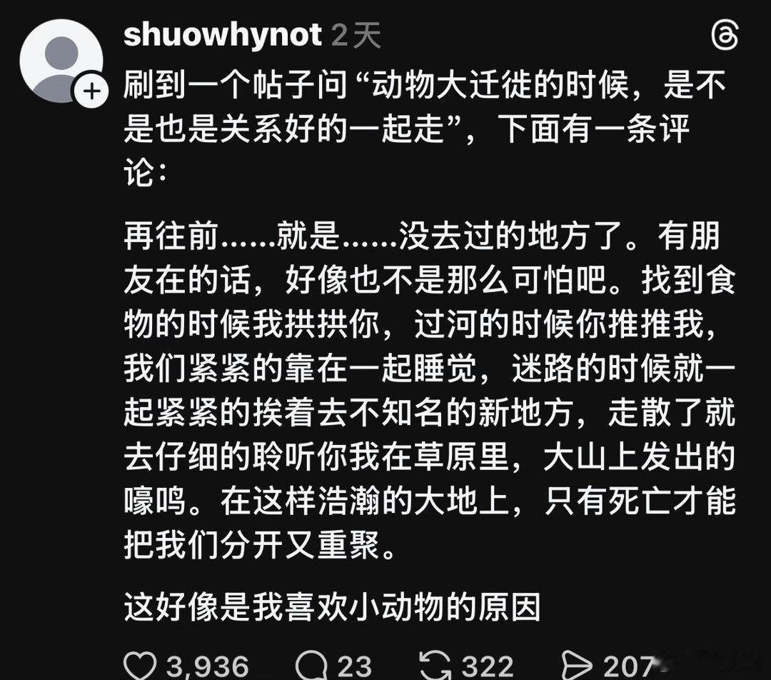 这好像是我喜欢小动物的原因。 