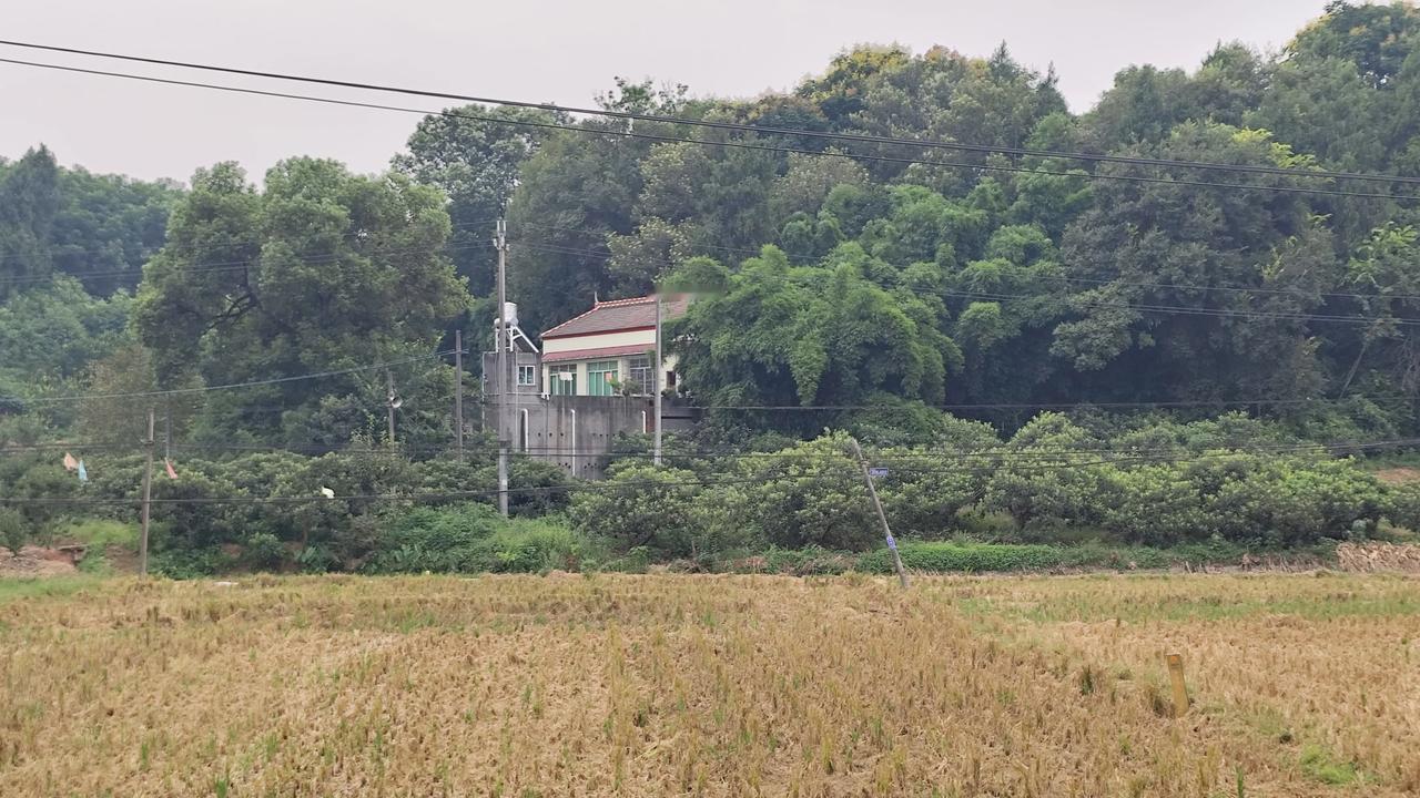 秋日生活打卡季乡村风景欣赏分享你随手拍得风景