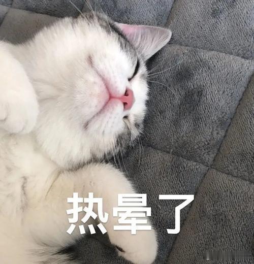 浙江高温来袭已24小时离不开空调长时间密闭吹空调空气不流通，每隔几小时会短暂开窗