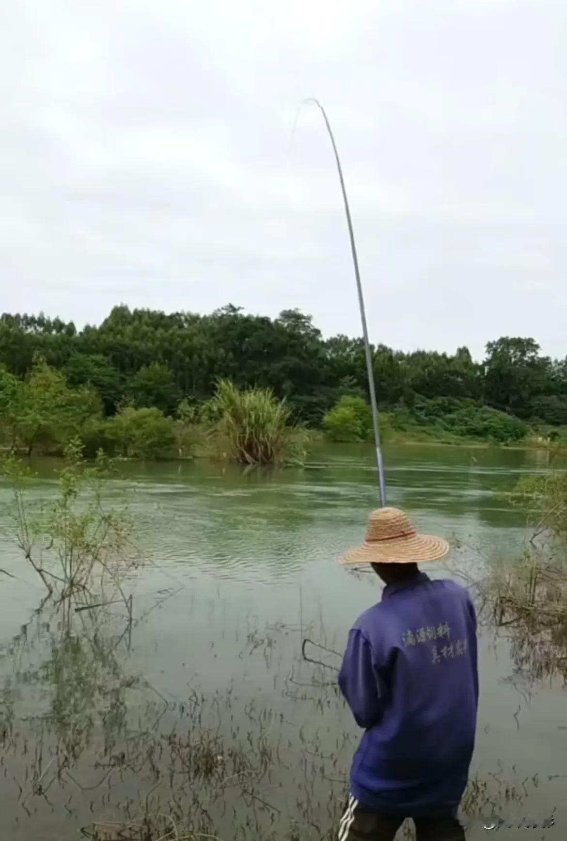 经常空军的钓鱼佬们一定要来广西试试野钓，凭一杆鱼竿，两个馒头就能收获一箩筐非洲鲫