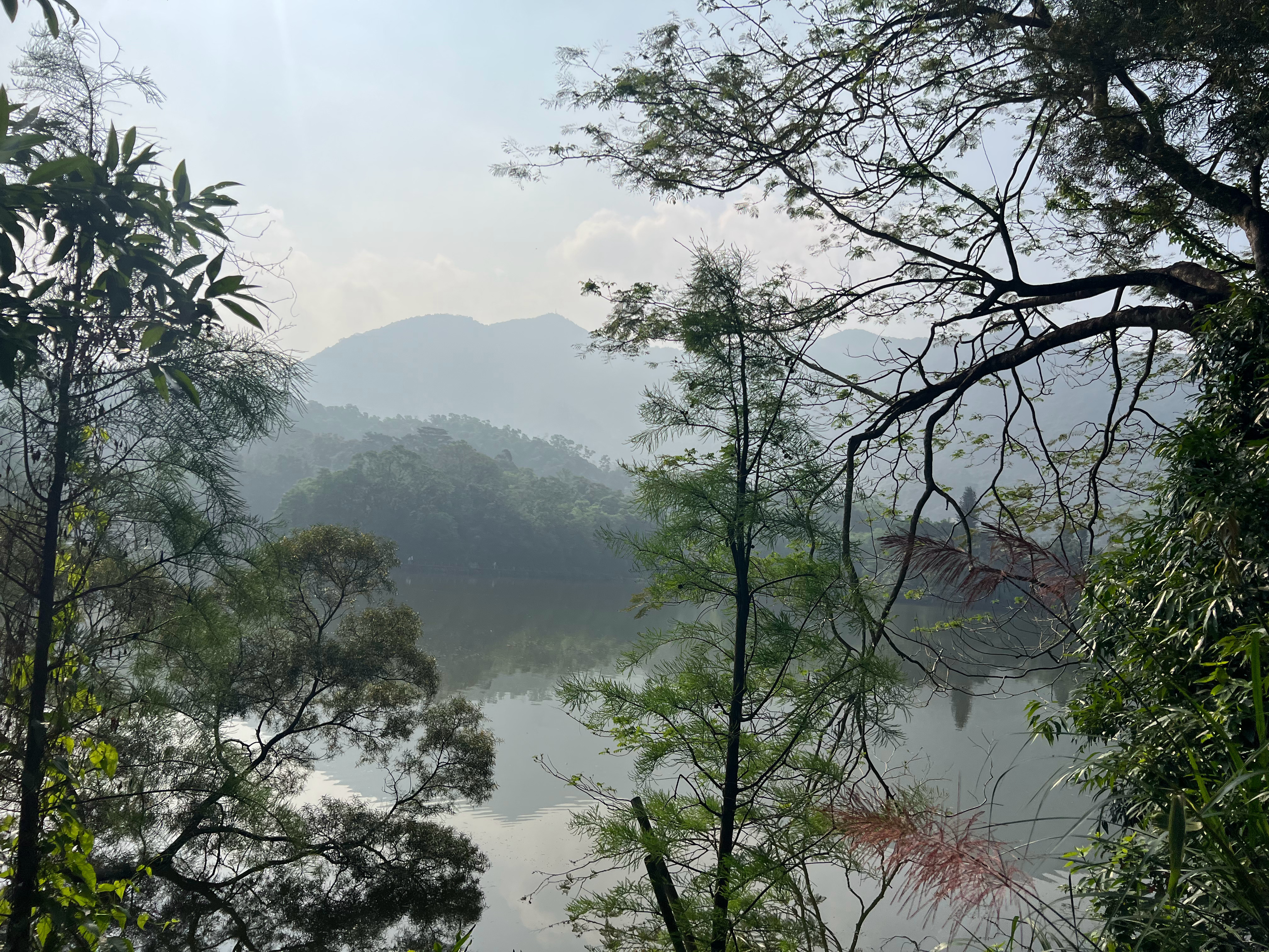 干净的圈子，舒服的相处，不必刻意迎合，无需小心翼翼，相处自在，往来舒心，人心便少