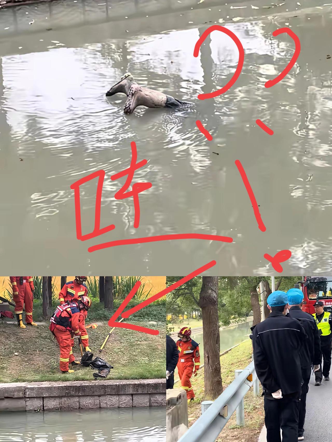 笑不活了！
消防、警察、急救甚至尸检人员全出动，结果救上来的竟是一双雨靴！

估