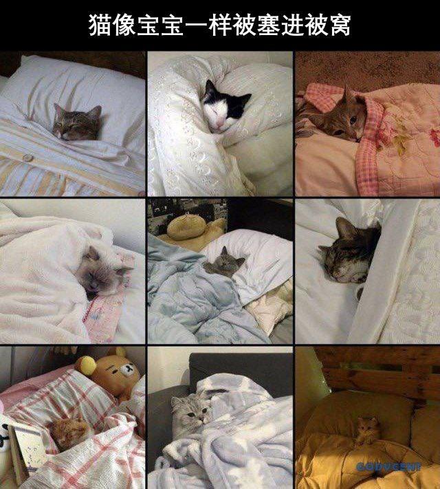 真厉害 