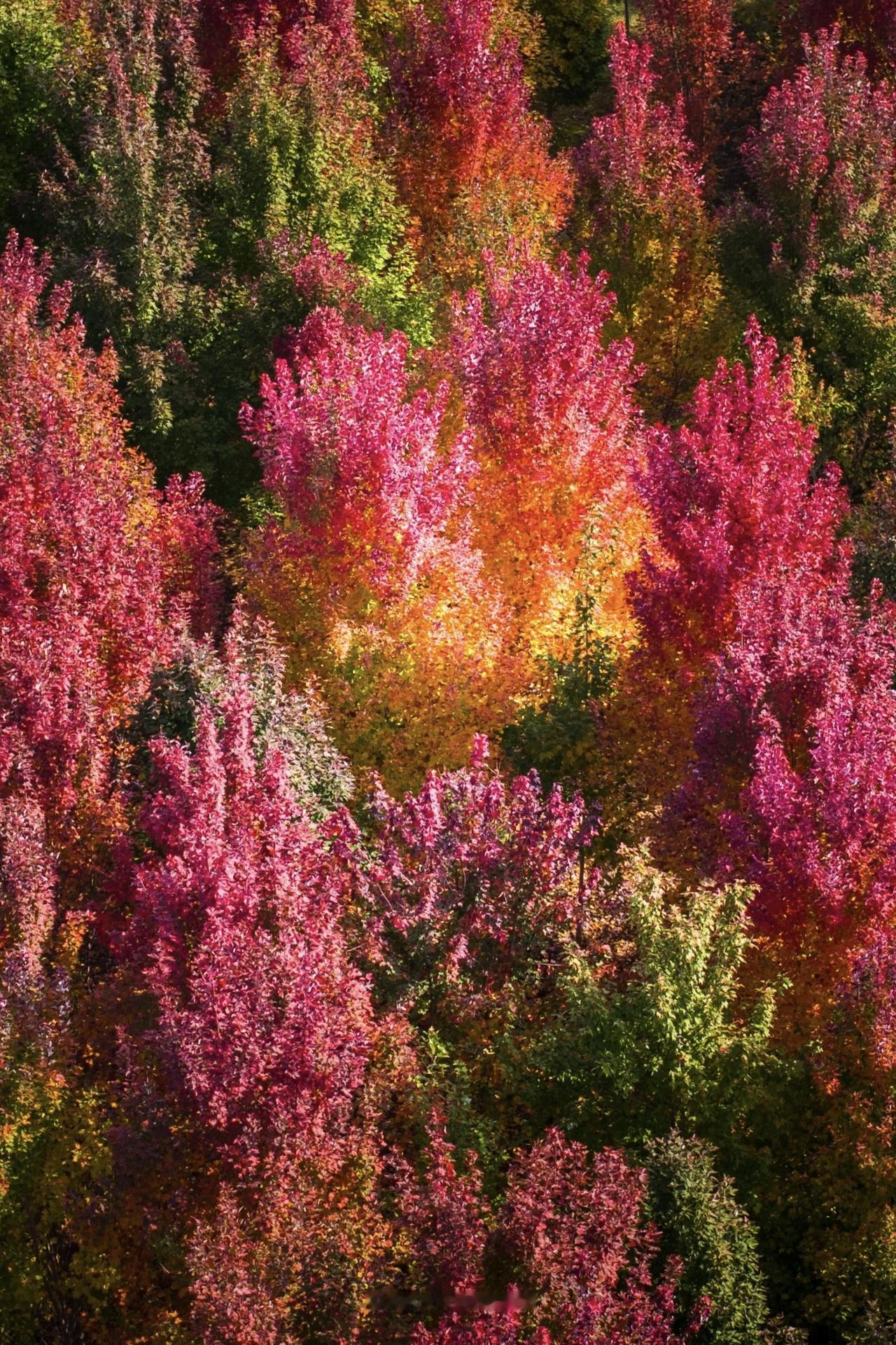 人过中年，渐渐放下了虚荣。曾经，面子就像心头肉，为了维护它，你曾苦水只能往肚里流