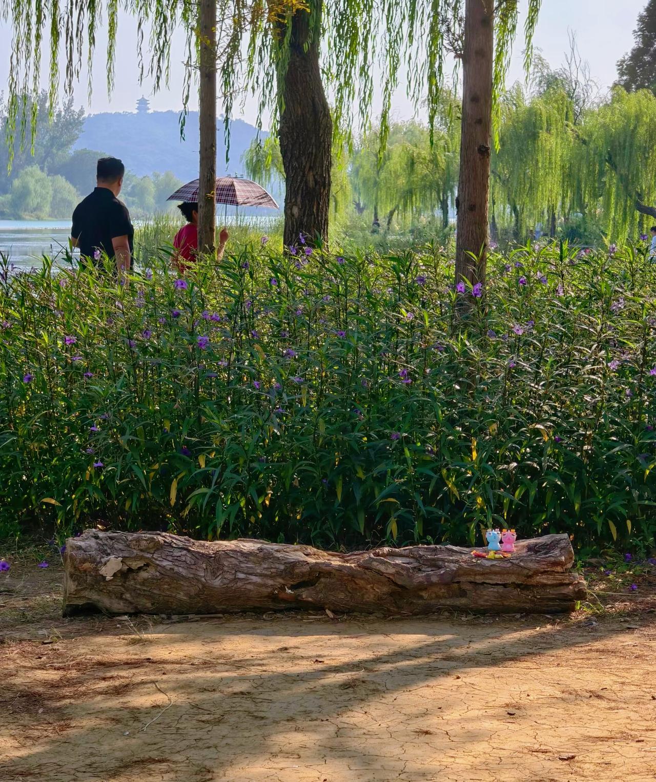 没钱的剧组，但还挺会取景
好多同担姐妹行程紧张，所以只在门口打卡就走了，其实渤公