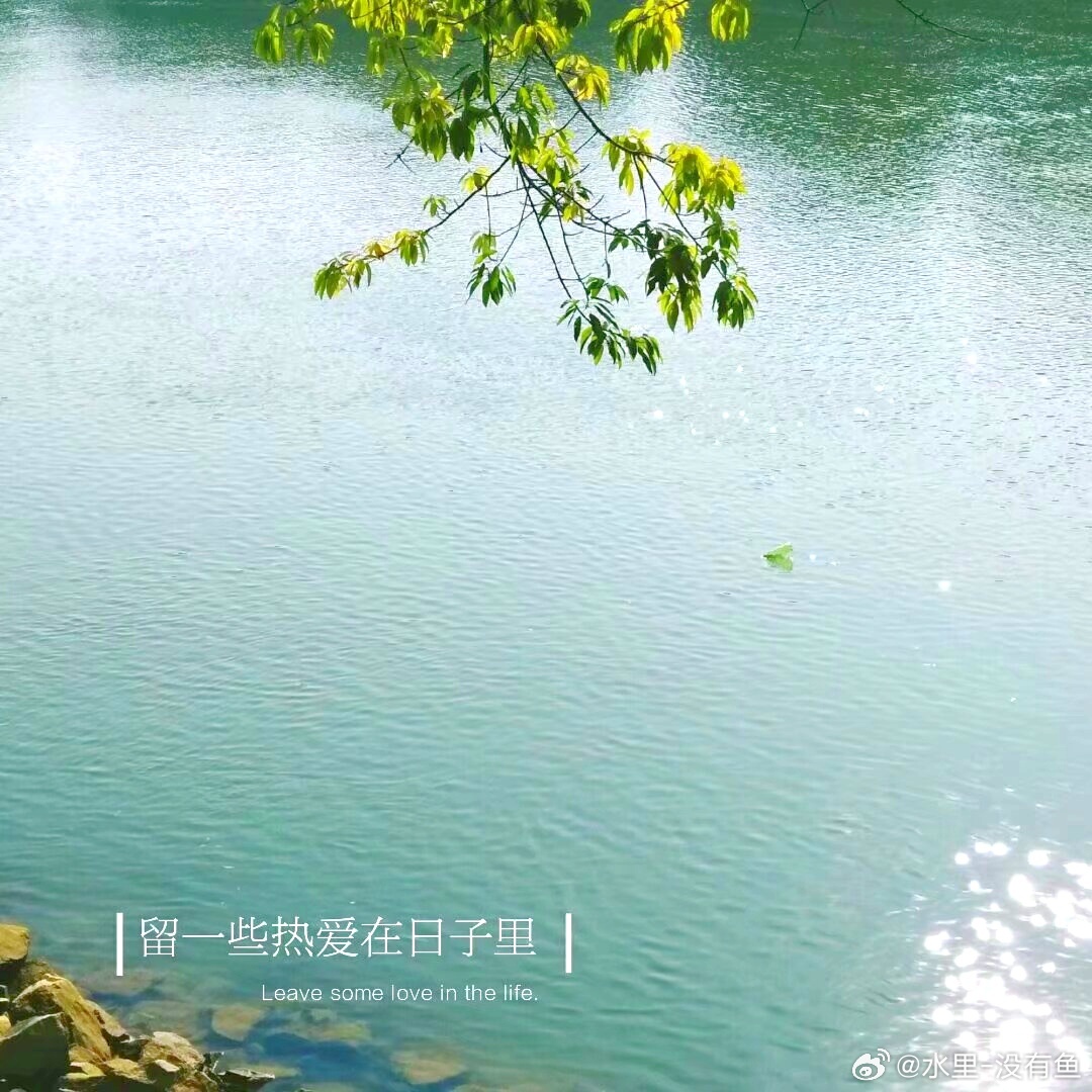 生活手记爱自己，是一生浪漫的开始。读书笔记