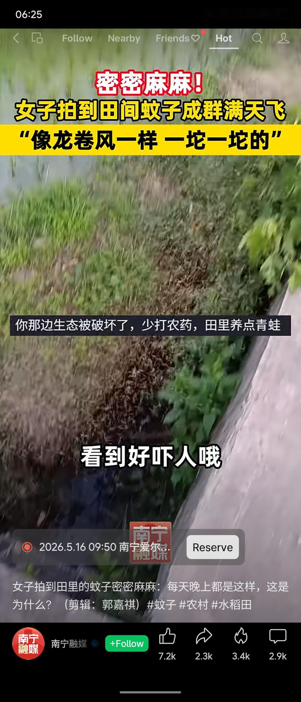南宁一女子拍到田间蚊子成群飞舞，如龙卷风般密集。网友指出生态被破坏、缺少青蛙等天