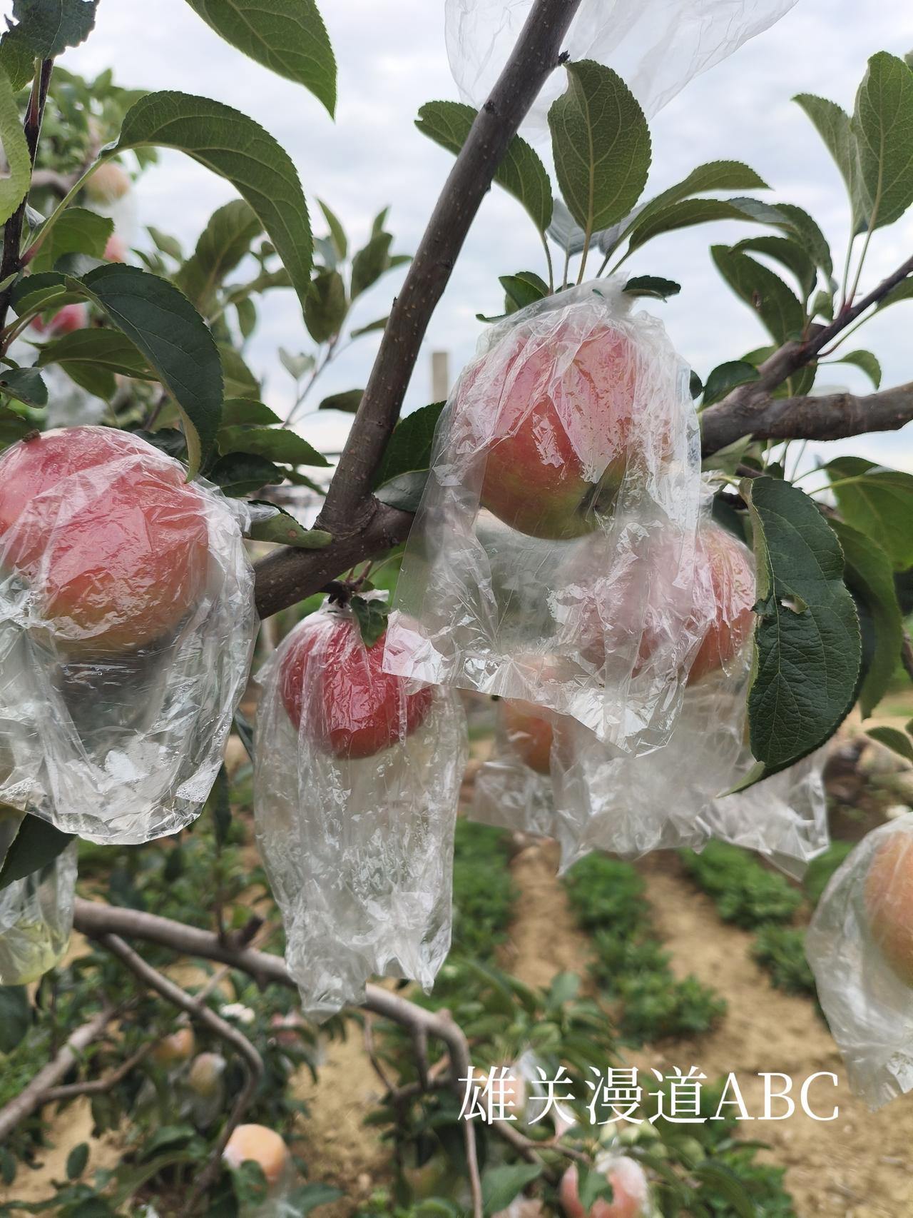 这个话题很有趣，2000年到浙江省嘉兴市桐乡县出差，第一次花了300多元买了一件