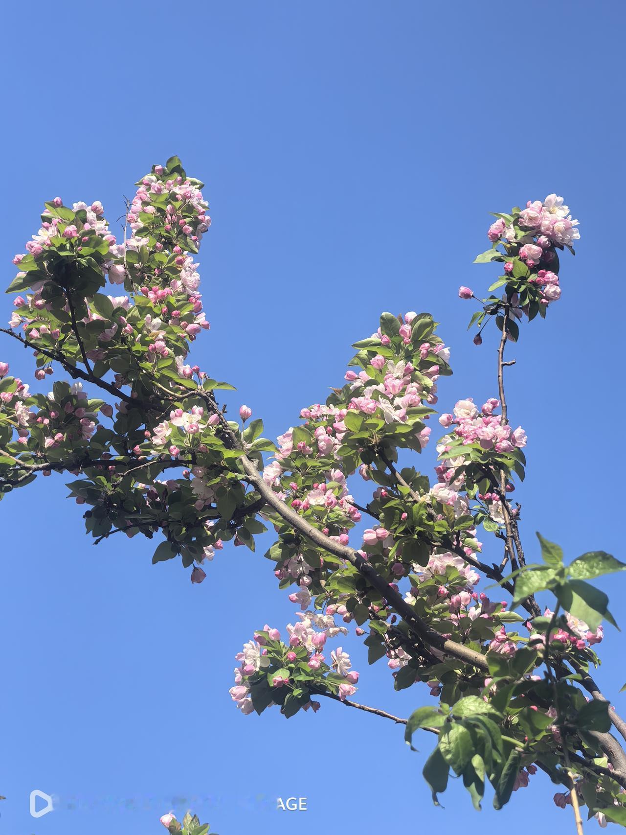 今天气温一下飙到了26℃，感觉到了夏天一样。

上午和爱人打算去商场转转，在市区