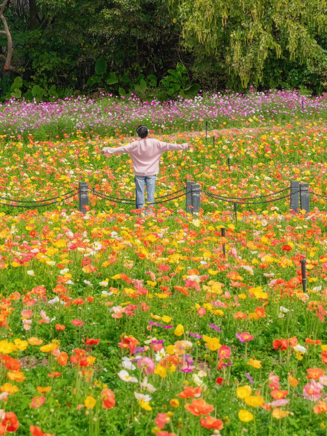 刚从广州回来，收好这份春日赏花地图💐