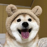 夏蛋爱谈科技