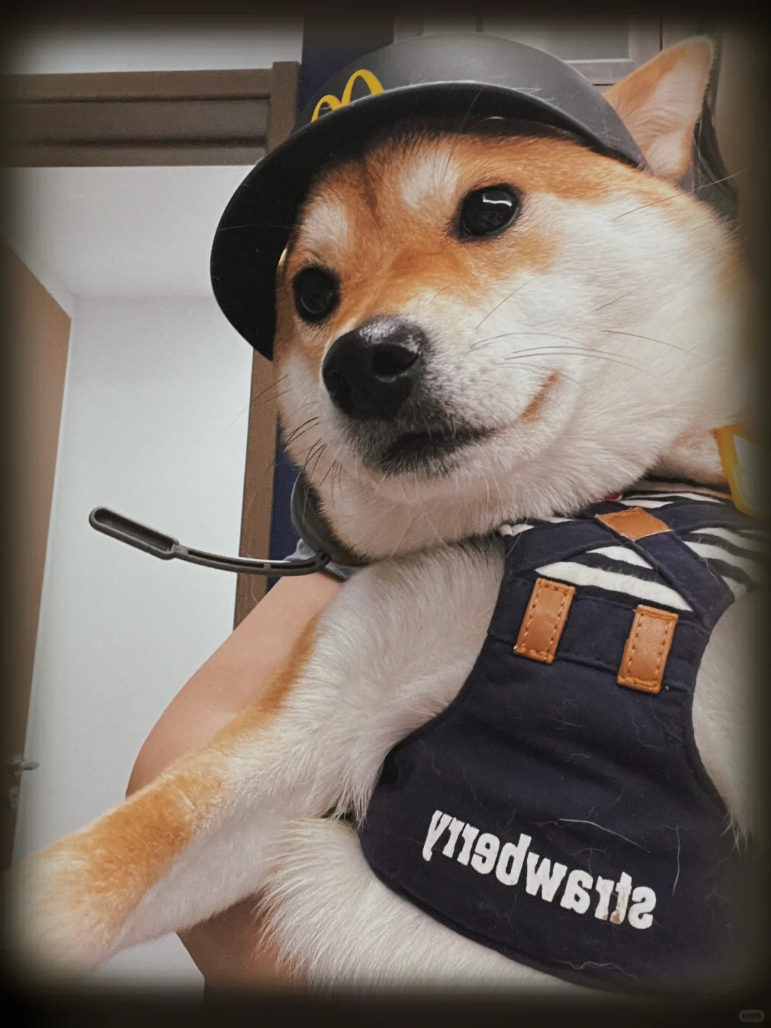 店长小咩为您服务：得来速，吃点什么