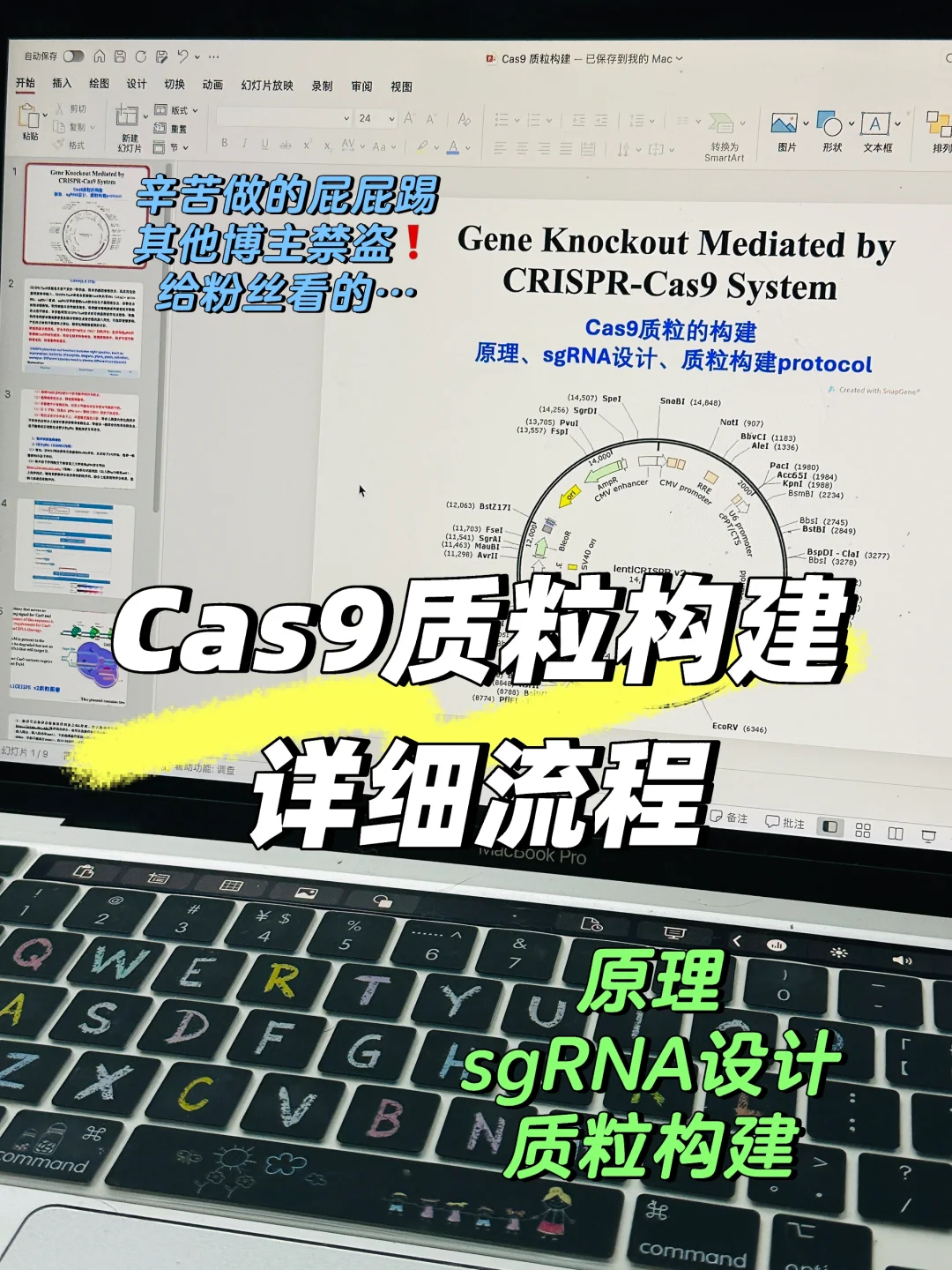 Cas9技术超详细流程➡️sgRNA设计、质粒构建