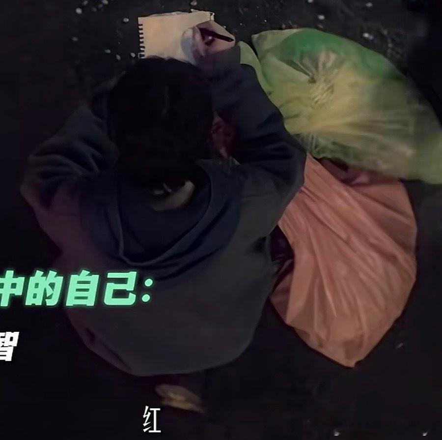 阿志就是捡捡垃圾也没干坏事 你们别欺负他王源文淇新电影提档我看见两朵一样的云提档