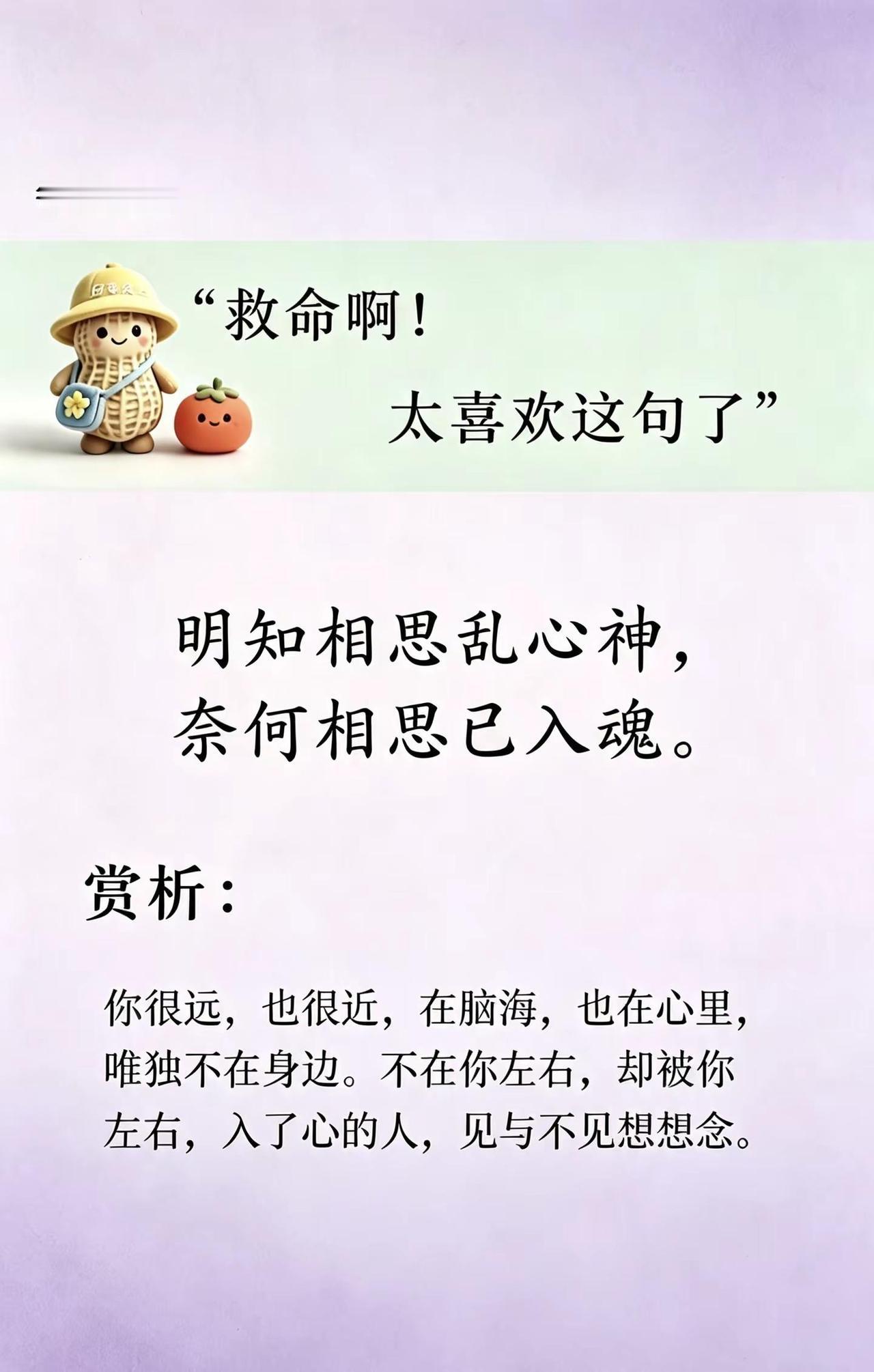 明知相思乱心神，奈何相思已入魂。治愈系文字 人间清醒语录 古诗词里的意难平