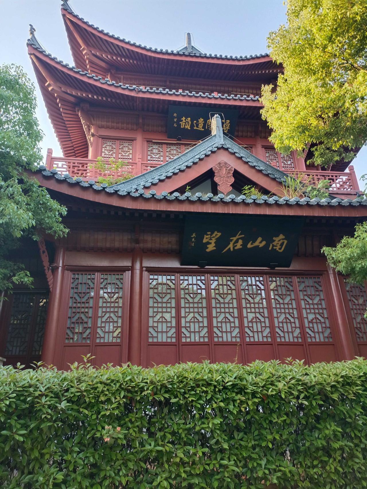 夏日风光随手拍