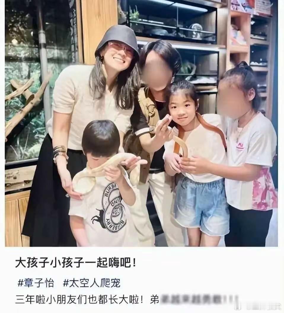 章子怡懒理汪峰新恋情，带儿女去爬宠店，章子怡真是好妈妈，带孩子体验生活，既然离婚
