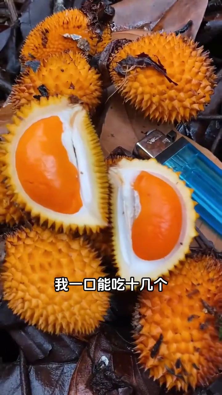 ·这种榴莲好吃吗？这哪是榴莲，分明就是生化武器，不能吃。
·这种榴莲好吃吗？这是