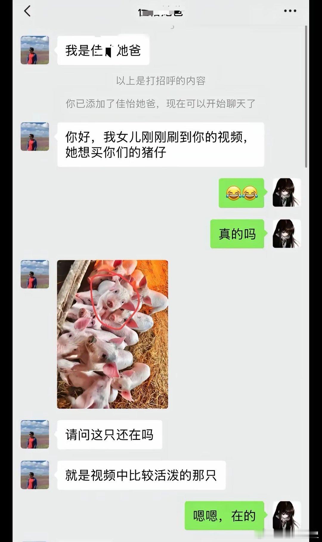 商业奇才！ 超过五十斤免费换小猪，好家伙，赚五千还不够吗，要一直赚！