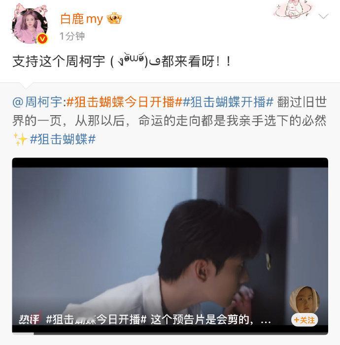 白鹿为周柯宇新剧宣传 暖心宣传委员白鹿上线！特意为周柯宇新剧《狙击蝴蝶》打 ca