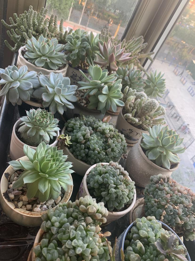 我的今日状态：😁轻松愉快
我这里的天气：☀️晴天