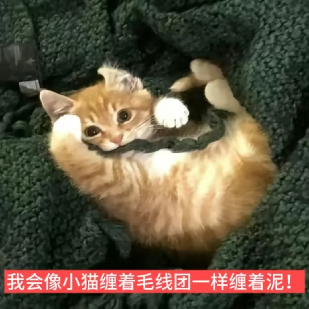 迪丽热巴 在我没有穿上红裤衩之前，我会一直缠着你们的！星星的红裤衩还在来的路上，