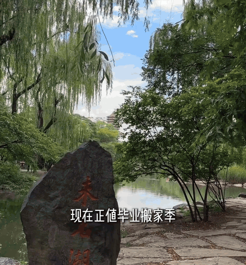 清北学生花千元请收纳师收拾宿舍是真人间清醒，时间花在刀刃上，能花点小钱搞定的琐事