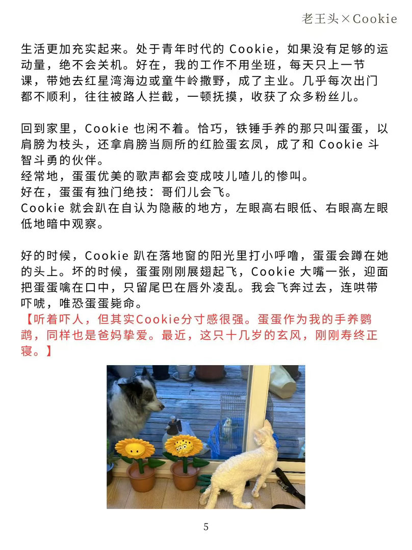 王勉父亲笔下的小狗Cookie每一篇日记每一段文字都满是温情，记录着和Cooki