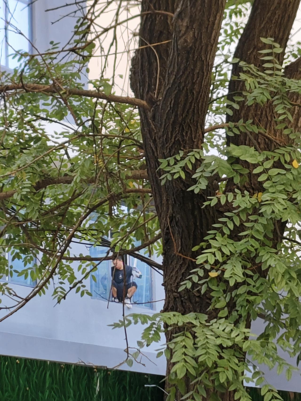 人生的意义就是：

明知生命有限、结局虚无，明知一切都是虚幻，你依然选择在今天下