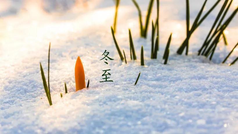 【冬至到！你不知道的5个养生秘诀！值得一看】
今日冬至，很多人都觉得这是一年的结