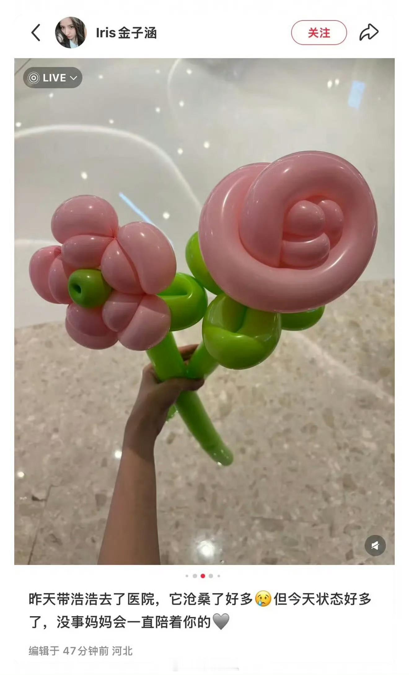 金子涵胳膊上的伤疤还没好么 